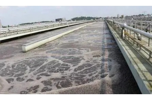【重要】水中溶解氧越高,處理效果越好么?