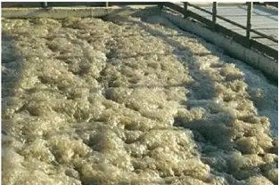 污水處理中的泡沫現象該怎么辦？