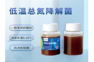 反硝化細菌在污水處理中的具體應用是什么？